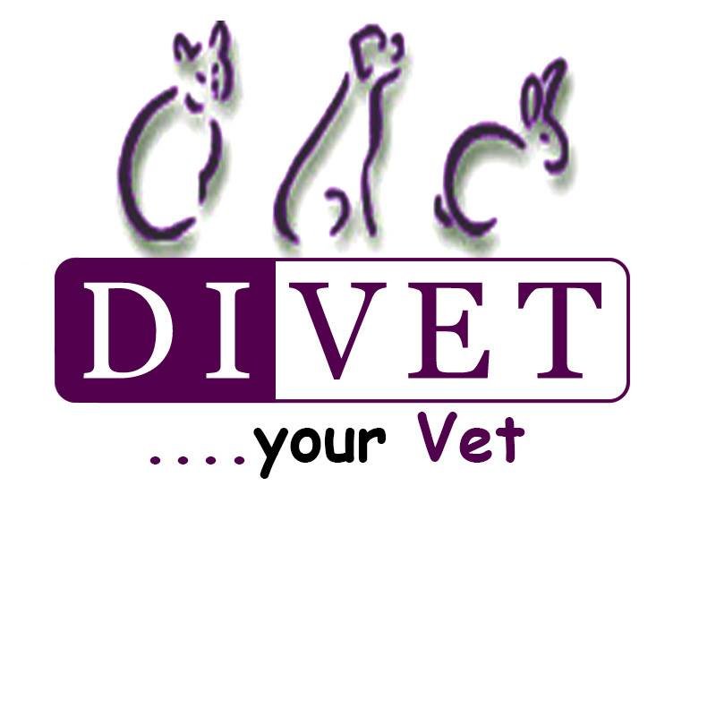 DI-VET - Urgente Veterinare